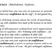 The Meaning of Confidence